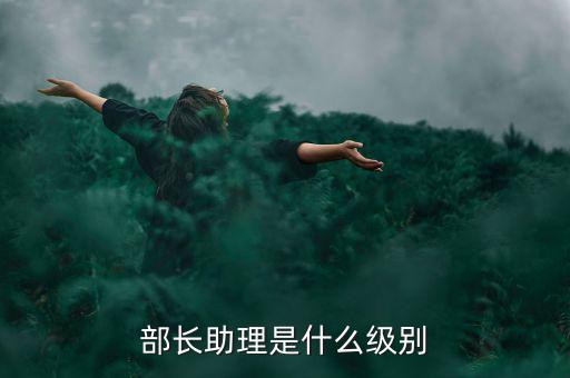 劉鐵男是什么級(jí)別,部長(zhǎng)助理是什么級(jí)別