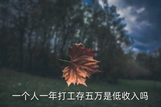 一個人一年打工存五萬是低收入嗎