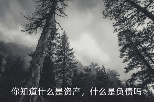 你知道什么是資產(chǎn)，什么是負(fù)債嗎