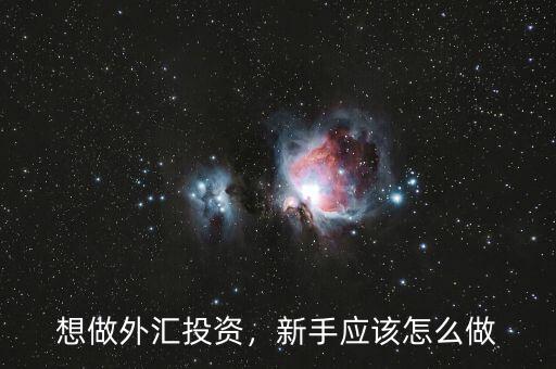 想做外匯投資，新手應(yīng)該怎么做