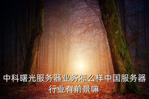 中科曙光公司怎么樣,中科曙光服務(wù)器業(yè)務(wù)怎么樣