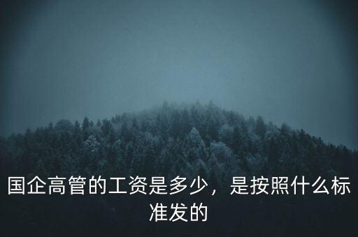 什么算國企高管,國企高層屬于什么級(jí)別