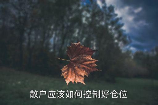 怎么控制倉(cāng)位,散戶(hù)應(yīng)該如何控制好倉(cāng)位