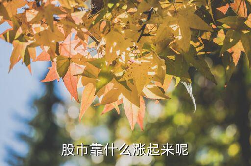 股市靠什么漲起來呢