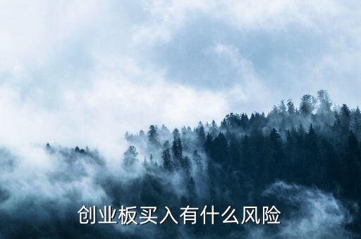 創(chuàng)業(yè)板買(mǎi)入有什么風(fēng)險(xiǎn)