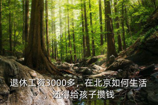 退休工資3000多，在北京如何生活，還得給孩子攢錢