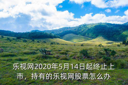 樂(lè)視網(wǎng)2020年5月14日起終止上市，持有的樂(lè)視網(wǎng)股票怎么辦