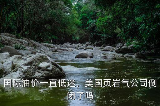 國際油價一直低迷，美國頁巖氣公司倒閉了嗎