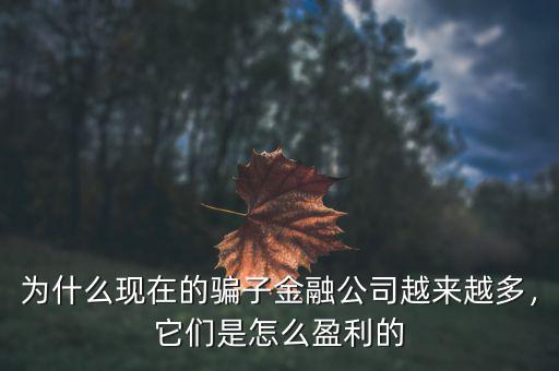 金融行業(yè)是怎么盈利的,金融行業(yè)做什么最掙錢