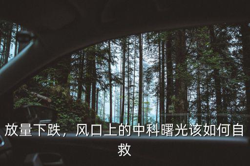 放量下跌，風(fēng)口上的中科曙光該如何自救