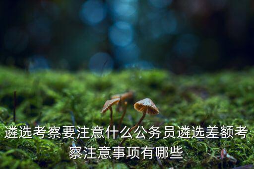 遴選考察要注意什么公務(wù)員遴選差額考察注意事項(xiàng)有哪些