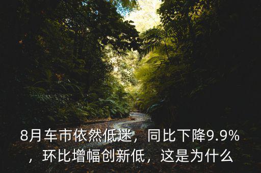 8月車市依然低迷，同比下降9.9%，環(huán)比增幅創(chuàng)新低，這是為什么