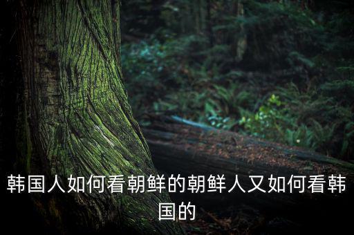 韓國的基礎(chǔ)設施怎么樣,真實的韓國生活是怎樣的