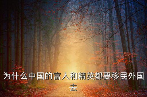 中國(guó)為什么要移民,為什么有錢(qián)人總想移民