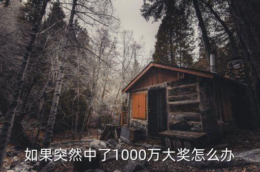 如果突然中了1000萬(wàn)大獎(jiǎng)怎么辦