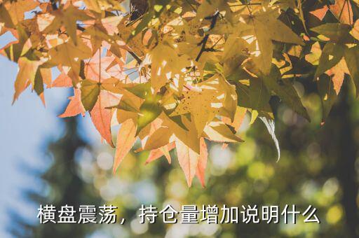 橫盤(pán)震蕩什么意思,股市中震蕩橫盤(pán)怎么操作