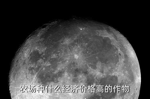 2816年什么農(nóng)作物價格高,農(nóng)場種什么經(jīng)濟價格高的作物