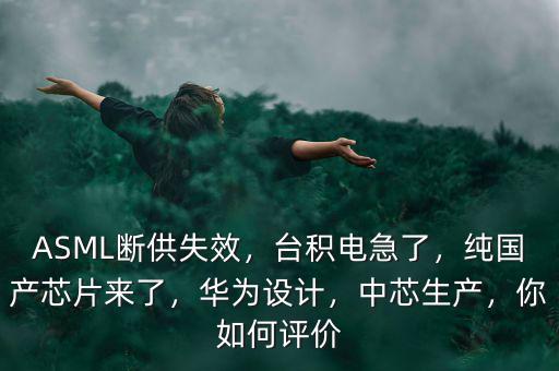 ASML斷供失效，臺積電急了，純國產(chǎn)芯片來了，華為設(shè)計，中芯生產(chǎn)，你如何評價