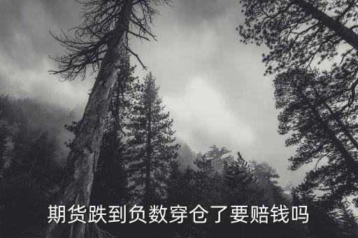 期貨跌到負(fù)數(shù)穿倉了要賠錢嗎