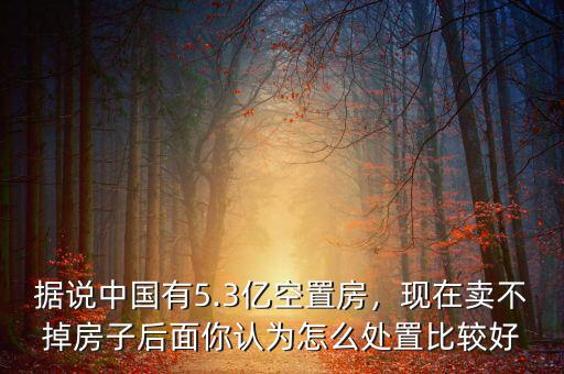 據(jù)說(shuō)中國(guó)有5.3億空置房，現(xiàn)在賣不掉房子后面你認(rèn)為怎么處置比較好