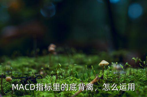 怎么利用MACD背離做波段,如何根據(jù)小時(shí)圖做波段操作