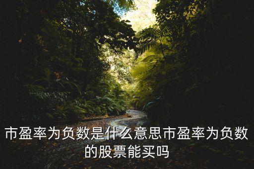 pe為負數(shù)什么意思,市盈率為負數(shù)是什么意思