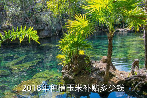 2018年種植玉米補(bǔ)貼多少錢(qián)