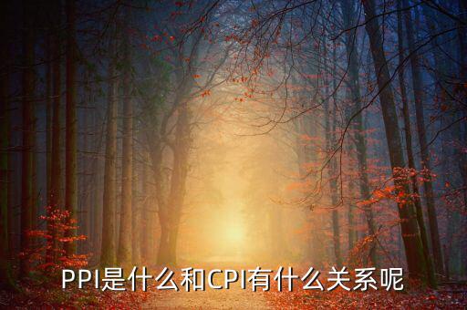 PPI是什么和CPI有什么關(guān)系呢