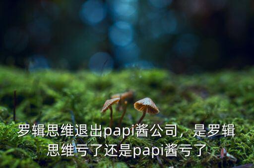 羅輯思維退出papi醬公司，是羅輯思維虧了還是papi醬虧了