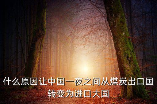 中國為什么進(jìn)口煤,中國是世界煤炭大國