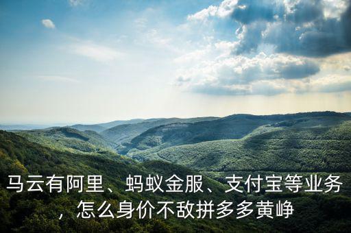 馬云有阿里、螞蟻金服、支付寶等業(yè)務，怎么身價不敵拼多多黃崢