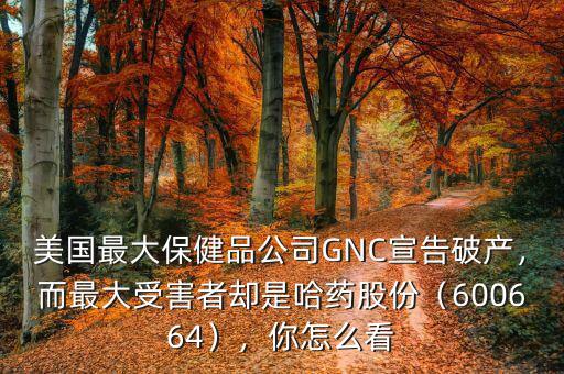 美國最大保健品公司GNC宣告破產(chǎn)，而最大受害者卻是哈藥股份（600664），你怎么看