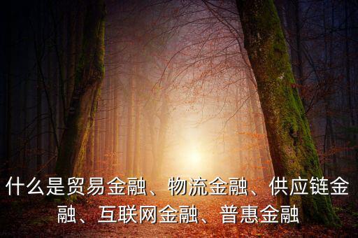 農(nóng)業(yè)供應(yīng)鏈金融是什么,什么是貿(mào)易金融