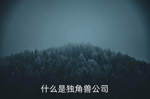 小米公司第六輪融資什么時候,什么是獨角獸公司