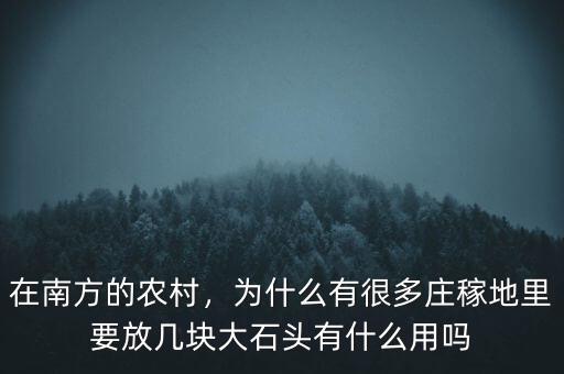 在南方的農(nóng)村，為什么有很多莊稼地里要放幾塊大石頭有什么用嗎