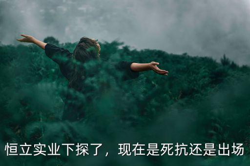 恒立實(shí)業(yè)下探了，現(xiàn)在是死抗還是出場(chǎng)