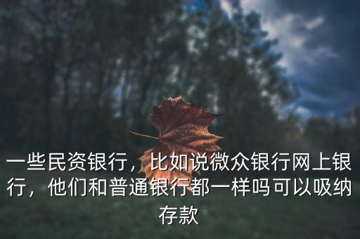 一些民資銀行，比如說微眾銀行網(wǎng)上銀行，他們和普通銀行都一樣嗎可以吸納存款