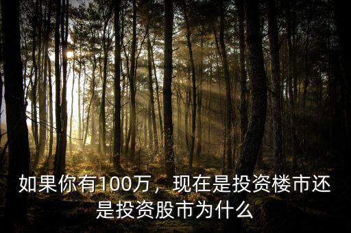 如果你有100萬(wàn)，現(xiàn)在是投資樓市還是投資股市為什么