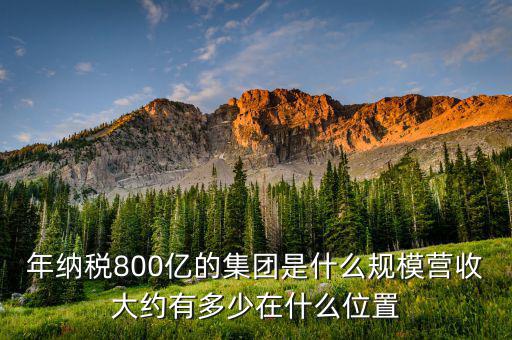 年納稅800億的集團(tuán)是什么規(guī)模營收大約有多少在什么位置