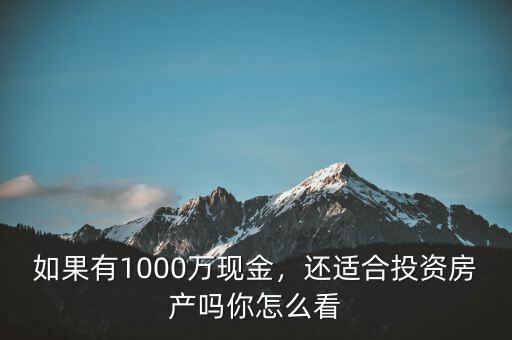 1000萬(wàn)怎么投資,還適合投資房產(chǎn)嗎