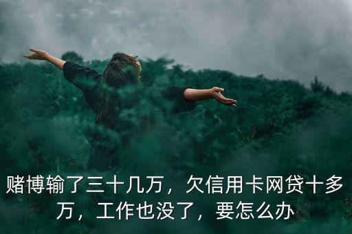 賭徒欠下信用卡十多萬應(yīng)該怎么辦,信用卡加網(wǎng)貸欠了五六十萬