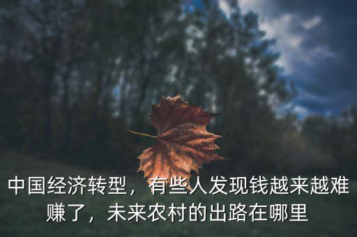 中國經(jīng)濟轉(zhuǎn)型，有些人發(fā)現(xiàn)錢越來越難賺了，未來農(nóng)村的出路在哪里