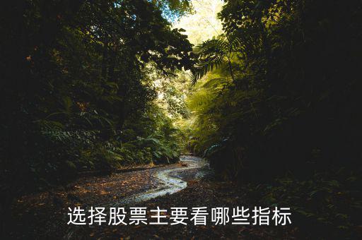 每股指標(biāo)主要看什么,選擇股票主要看哪些指標(biāo)