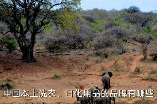 中國(guó)本土日化品牌為什么做不起來(lái),日化用品的品牌有哪些