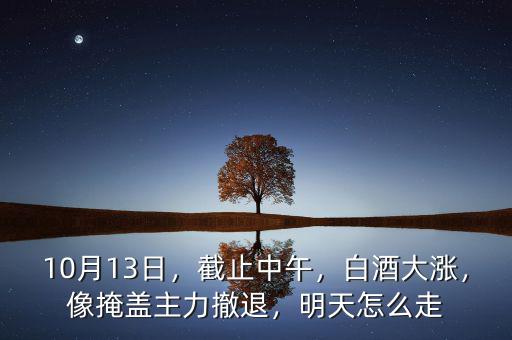 10月13日，截止中午，白酒大漲，像掩蓋主力撤退，明天怎么走