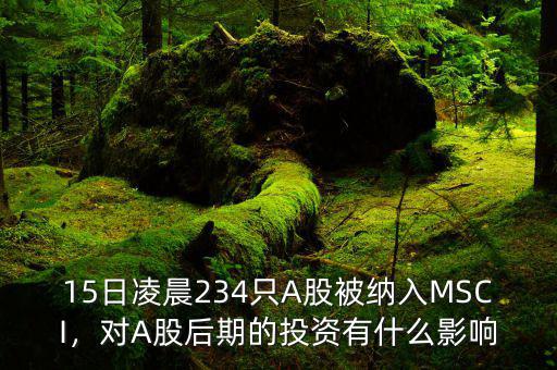 15日凌晨234只A股被納入MSCI，對A股后期的投資有什么影響