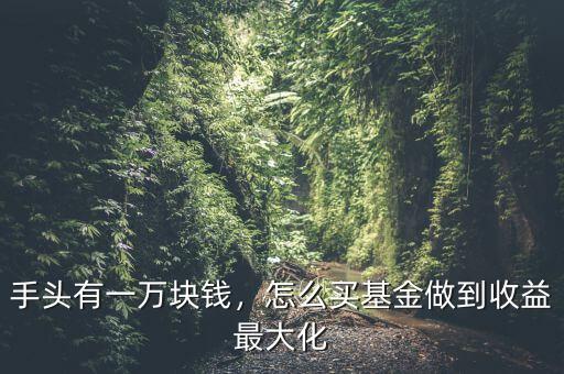 手頭有一萬(wàn)塊錢，怎么買基金做到收益最大化