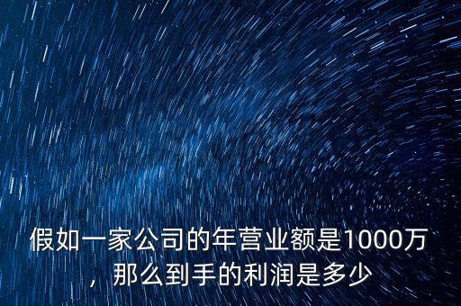 年收入1000萬(wàn)的公司市值大概多少,年利潤(rùn)100萬(wàn)公司估值多少