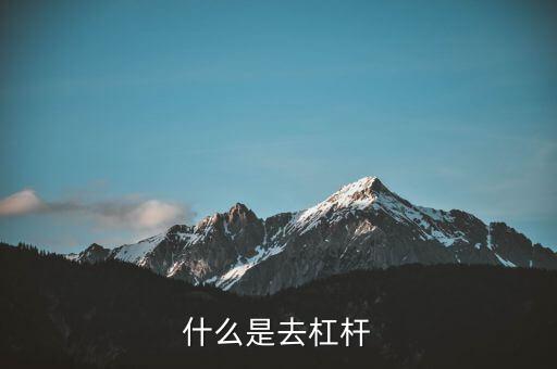 什么是去杠桿