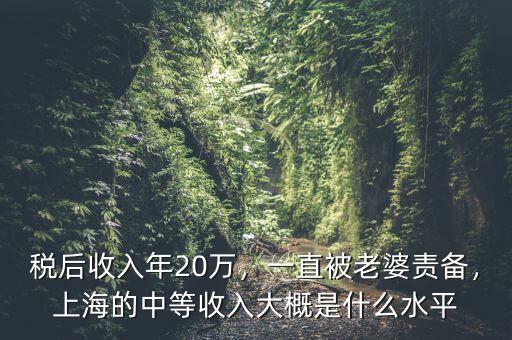 稅后收入年20萬，一直被老婆責備，上海的中等收入大概是什么水平